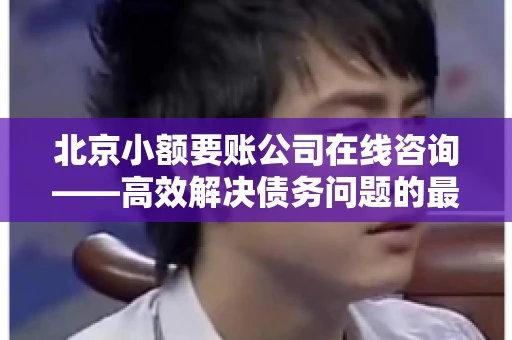 北京小额要账公司在线咨询——高效解决债务问题的最佳途径 北京小额要账公司在线咨询——高效解决债务问题的最佳途径