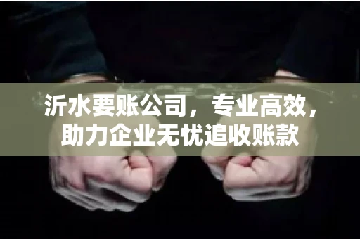 沂水要账公司,专业高效,助力企业无忧追收账款 沂水要账公司,专业高效,助力企业无忧追收账款