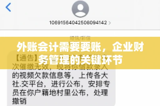 外账会计需要要账,企业财务管理的关键环节 外账会计需要要账,企业财务管理的关键环节
