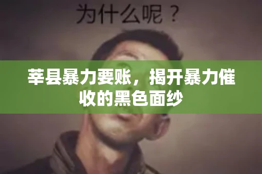 莘县暴力要账,揭开暴力催收的黑色面纱 莘县暴力要账,揭开暴力催收的黑色面纱