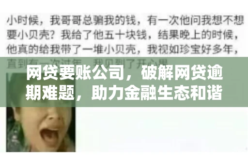 网贷要账公司,破解网贷逾期难题,助力金融生态和谐发展 网贷要账公司,破解网贷逾期难题,助力金融生态和谐发展