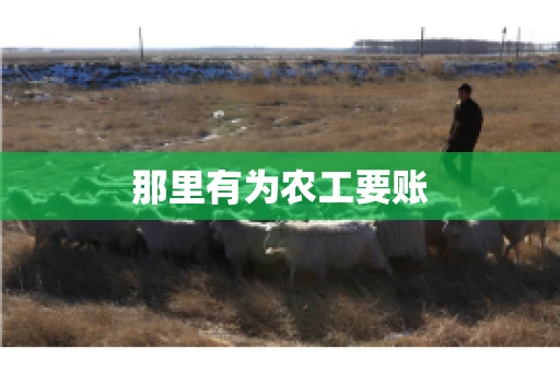 那里有为农工要账
