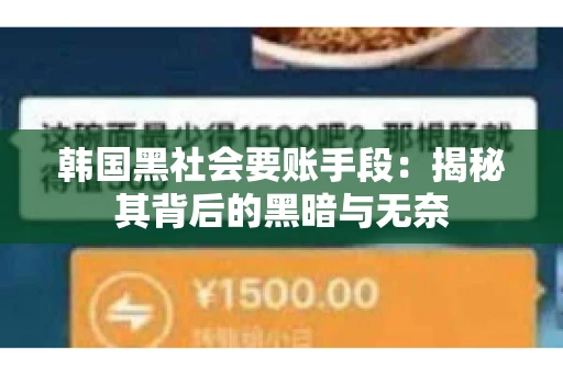 韩国黑社会要账手段：揭秘其背后的黑暗与无奈