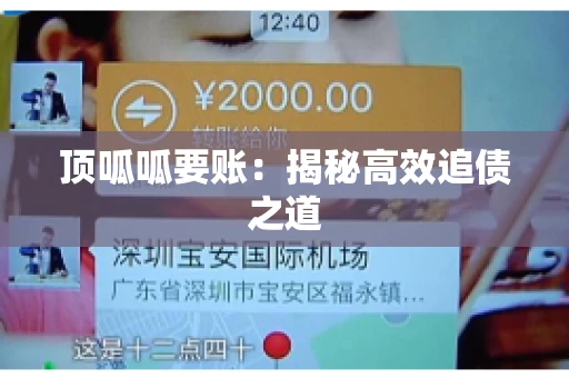 顶呱呱要账：揭秘高效追债之道
