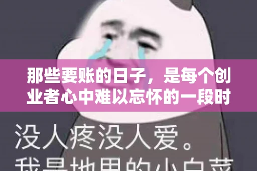 那些要账的日子，是每个创业者心中难以忘怀的一段时光。那时，我们奔波在各个角落，只为追回那一份份应收账款。今天，就让我来和大家聊聊那些要账的日子，分享一些亲身经历和感悟。