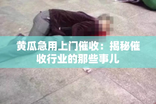 黄瓜急用上门催收：揭秘催收行业的那些事儿