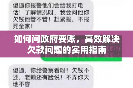 如何问政府要账，高效解决欠款问题的实用指南