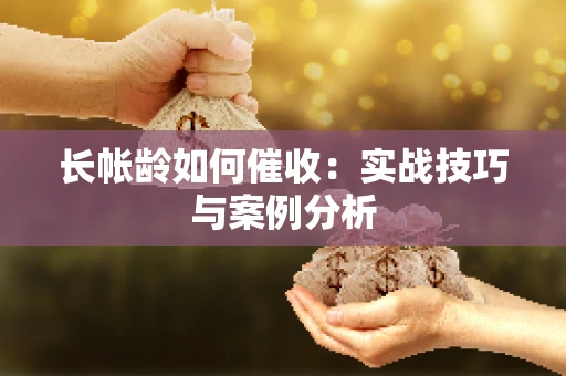 长帐龄如何催收：实战技巧与案例分析